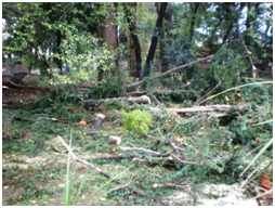 Nevrijeme bez posledica